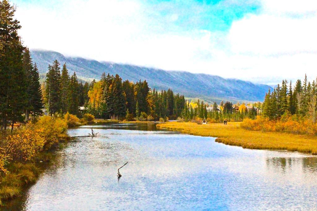 Luxury Canmore Vacations Dış mekan fotoğraf